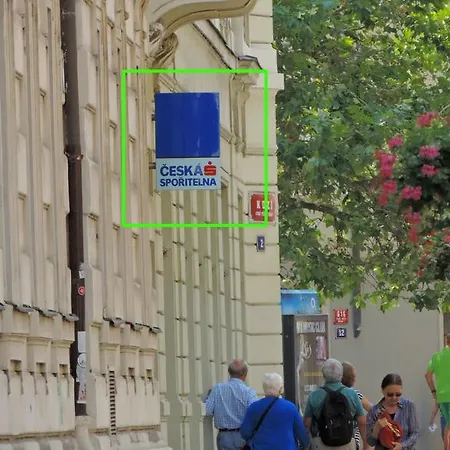 Amavi Kozi * Prague